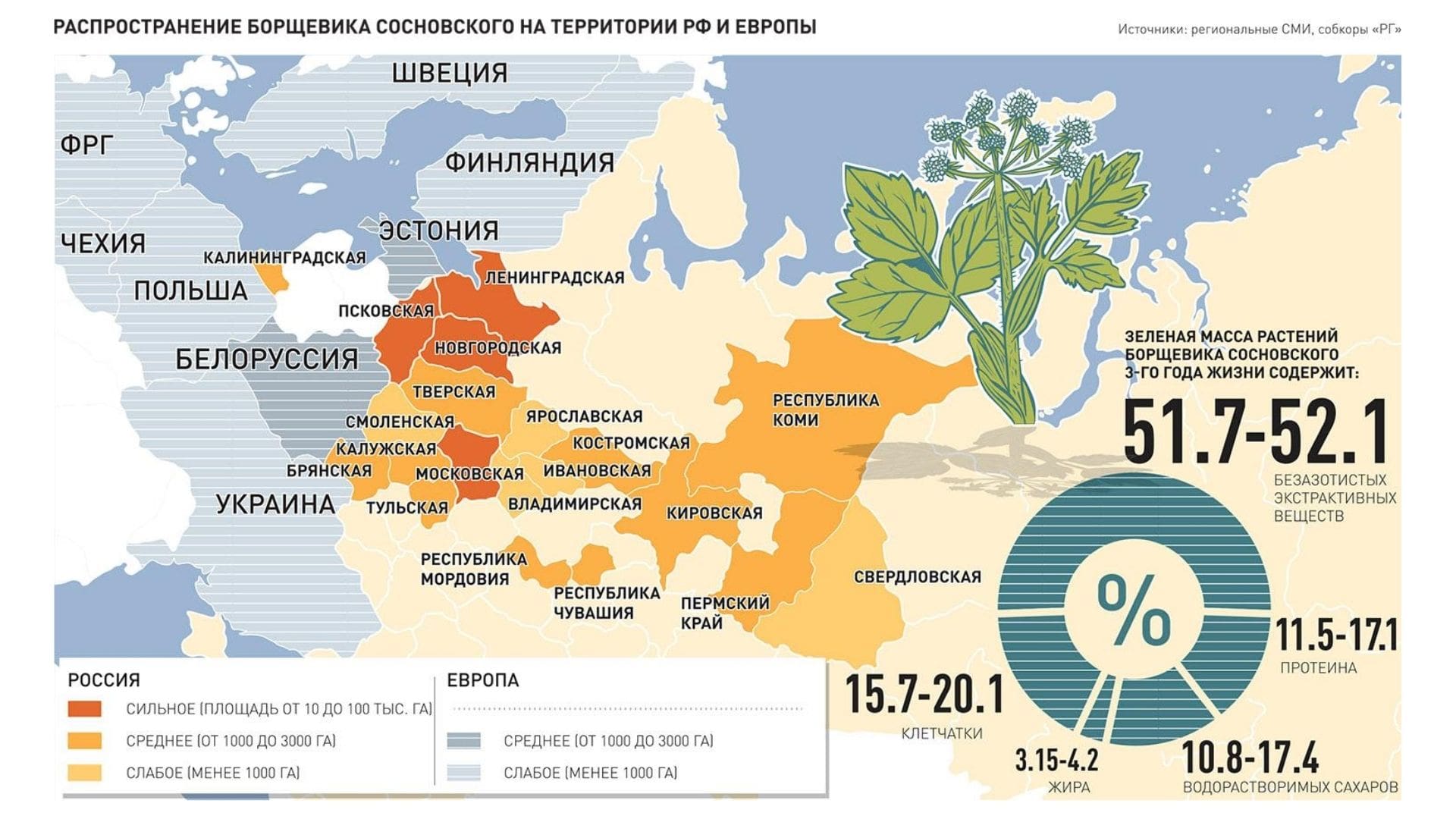 Карта распространения борщевика в россии