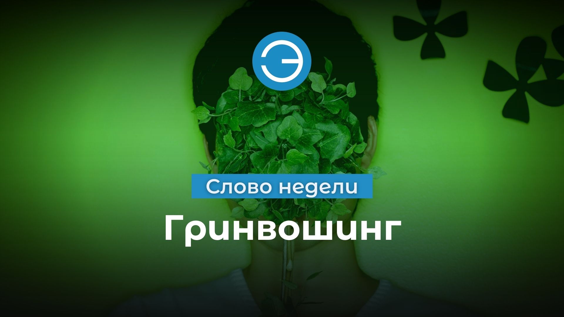 Гринвошинг