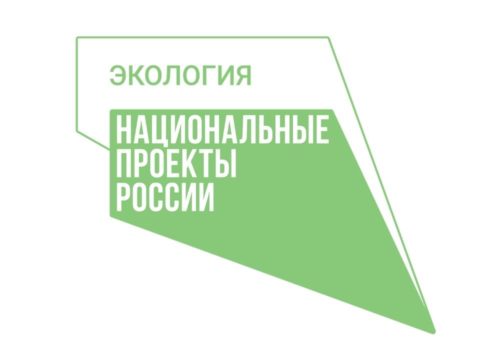 Паспорт национального проекта образование включает сколько проектов