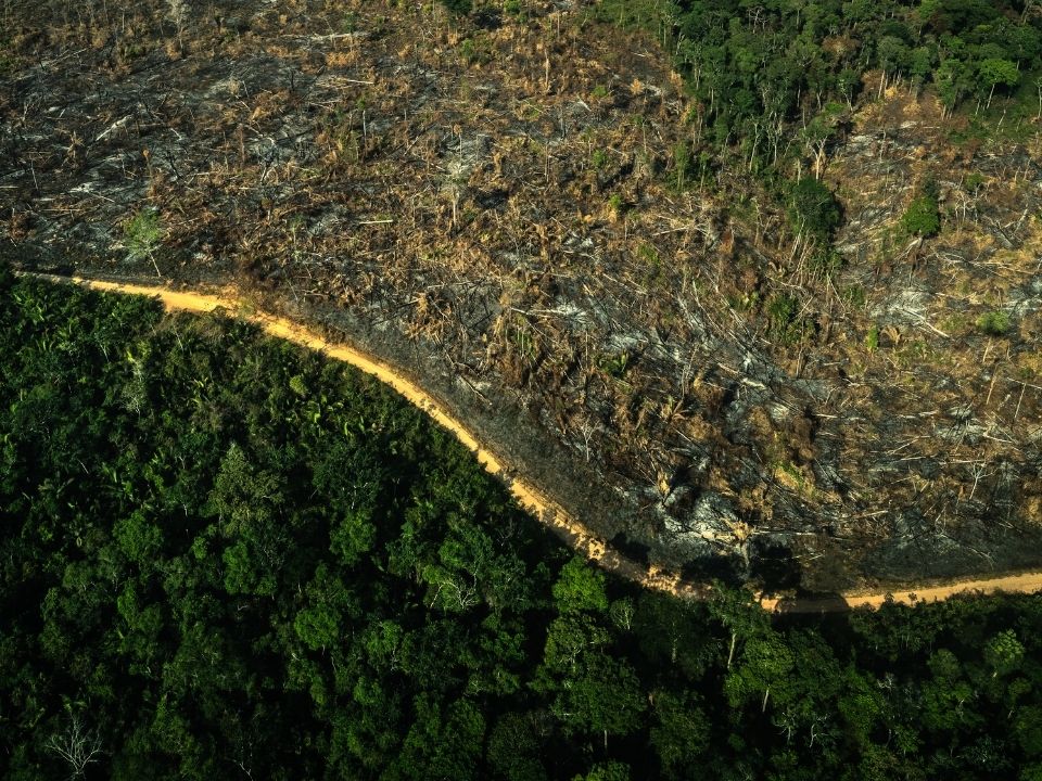 Полет над штатом Баия, Бразилия, где фиксируется рекордное количество случаев нелегальной добычи полезных ископаемых, лесозаготовок, подсечно-огневая расчистка земель, гигантские поля для выпаса скота. Фото: Fábio Nascimento / Greenpeace