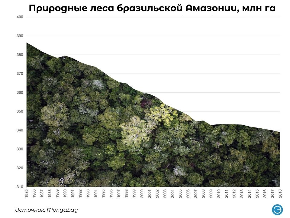 Укажите три основные причины сокращения тропических лесов