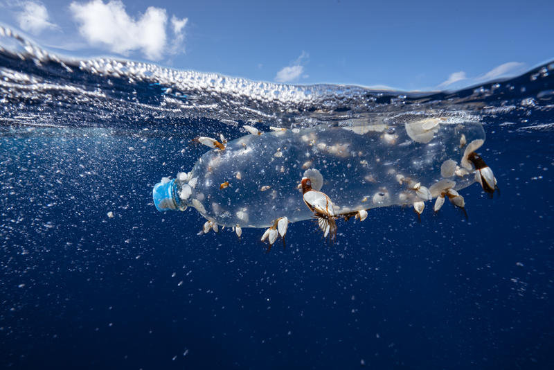 мусорные острова в океане площадь