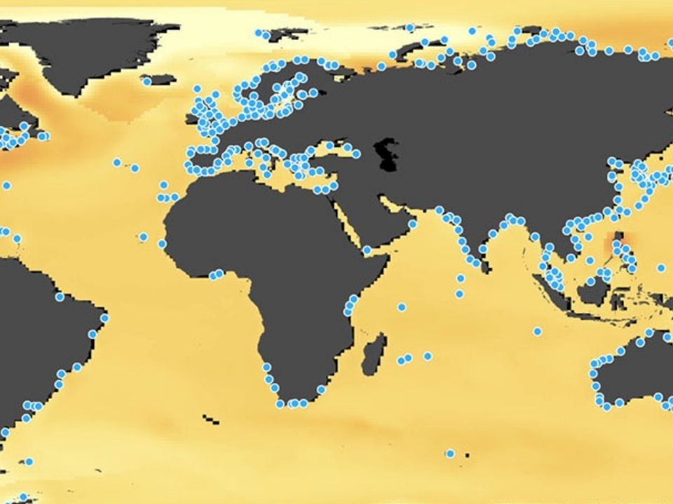 Онлайн-карта покажет, на сколько поднимется уровень моря в любой точке мира