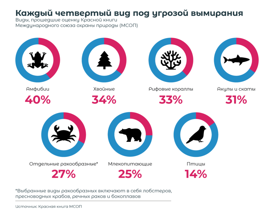 Потеря биоразнообразия картинки