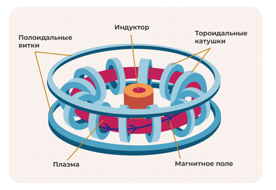Схема реактора типа токамак (роидальная мера с гнитными атушками). Иллюстрация: Роман Сойда, Экосфера