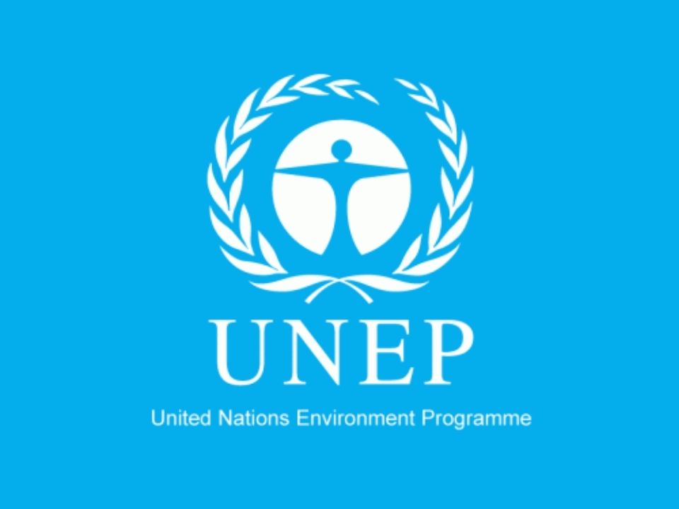 Охрана оон. ЮНЕП. ООН ЮНЕП. ЮНЕП символ. Программа ООН по окружающей среде.