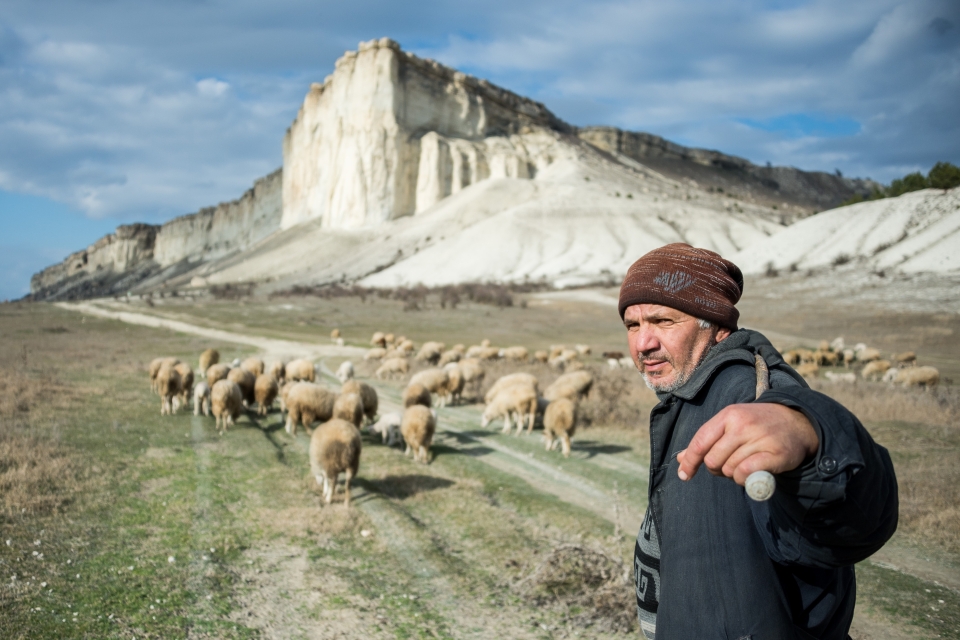 Пастух с овцами возле Белой скалы в Крыму. Фото: Алексей Мальгавко / РИА Новости