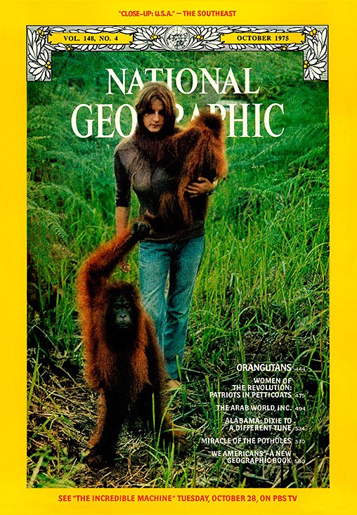 Джейн Гудолл, Дайан Фосси и Бируте Галдикас на обложках «National Geographic»