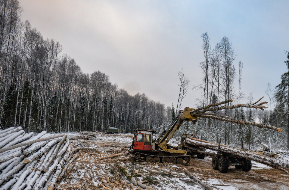 Погрузка лесовоза на предприятии лесозаготовки и лесопереработки «Меридиан» в Верхней Туре. Фото: Павел Лисицын / РИА Новости