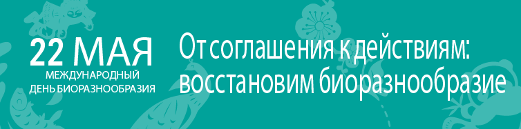 Международный день биологического разнообразия картинки