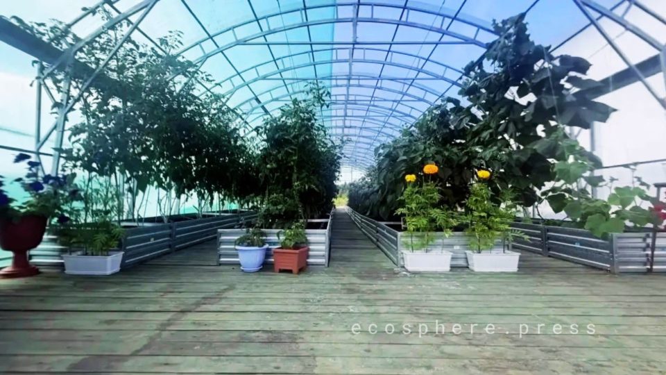 Карелия овощи
