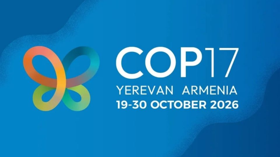 cop17erevan