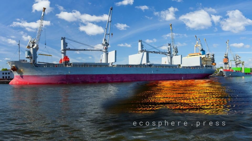 Нефтяные разливы нарушают жизнь глубоководных экосистем спустя годы