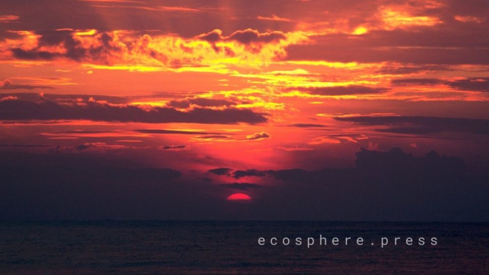 the el niño phenomenon triggers changes in weather that can exacerbate man made global warming.